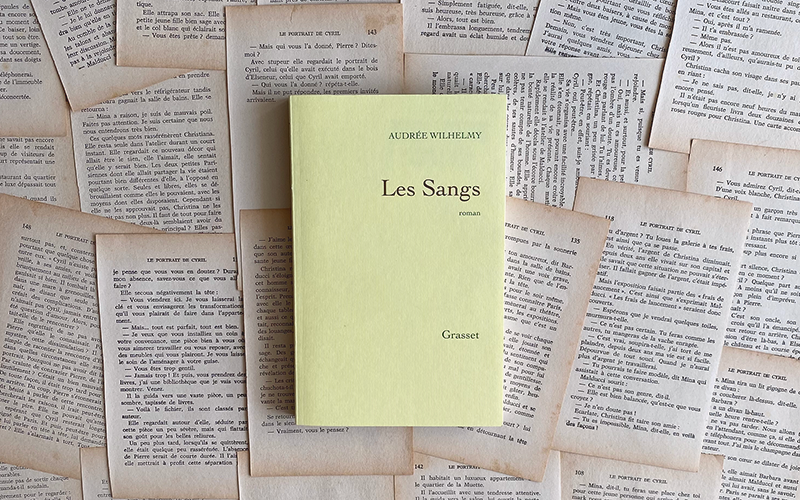 Chronique littéraire Les Sangs par Mally's Books - Mélissa Pontéry